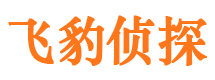 青羊侦探公司